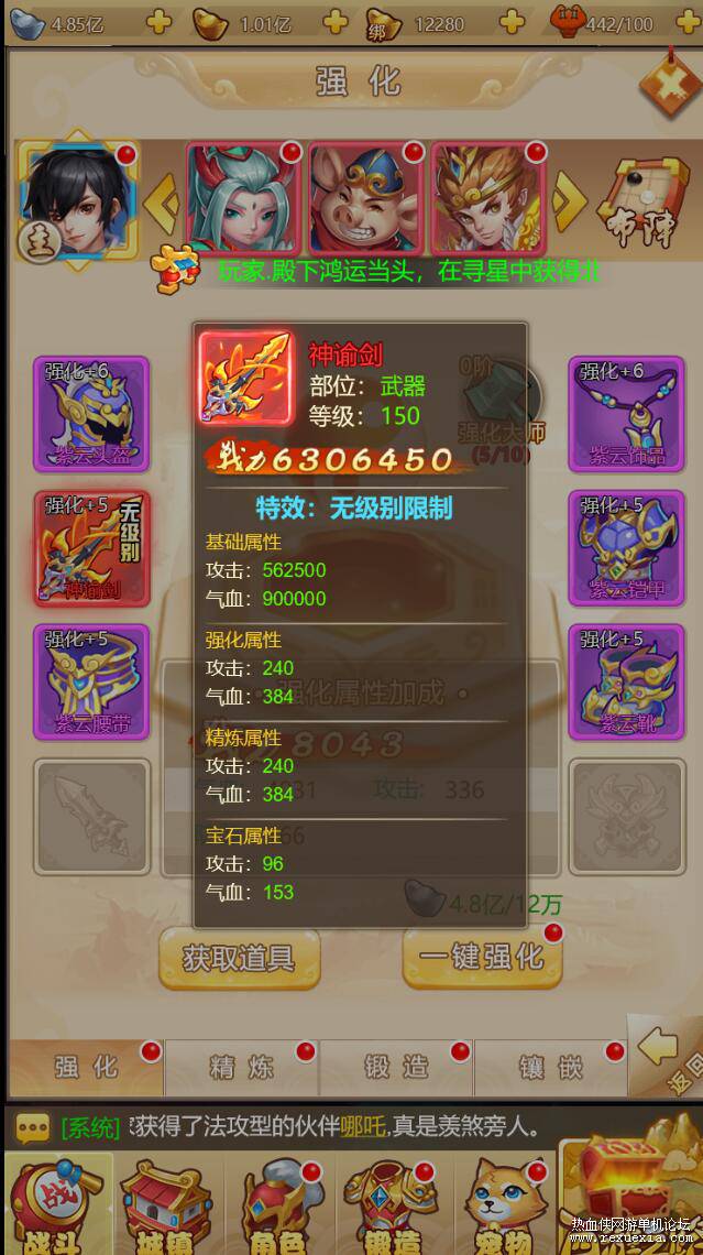 6.jpg