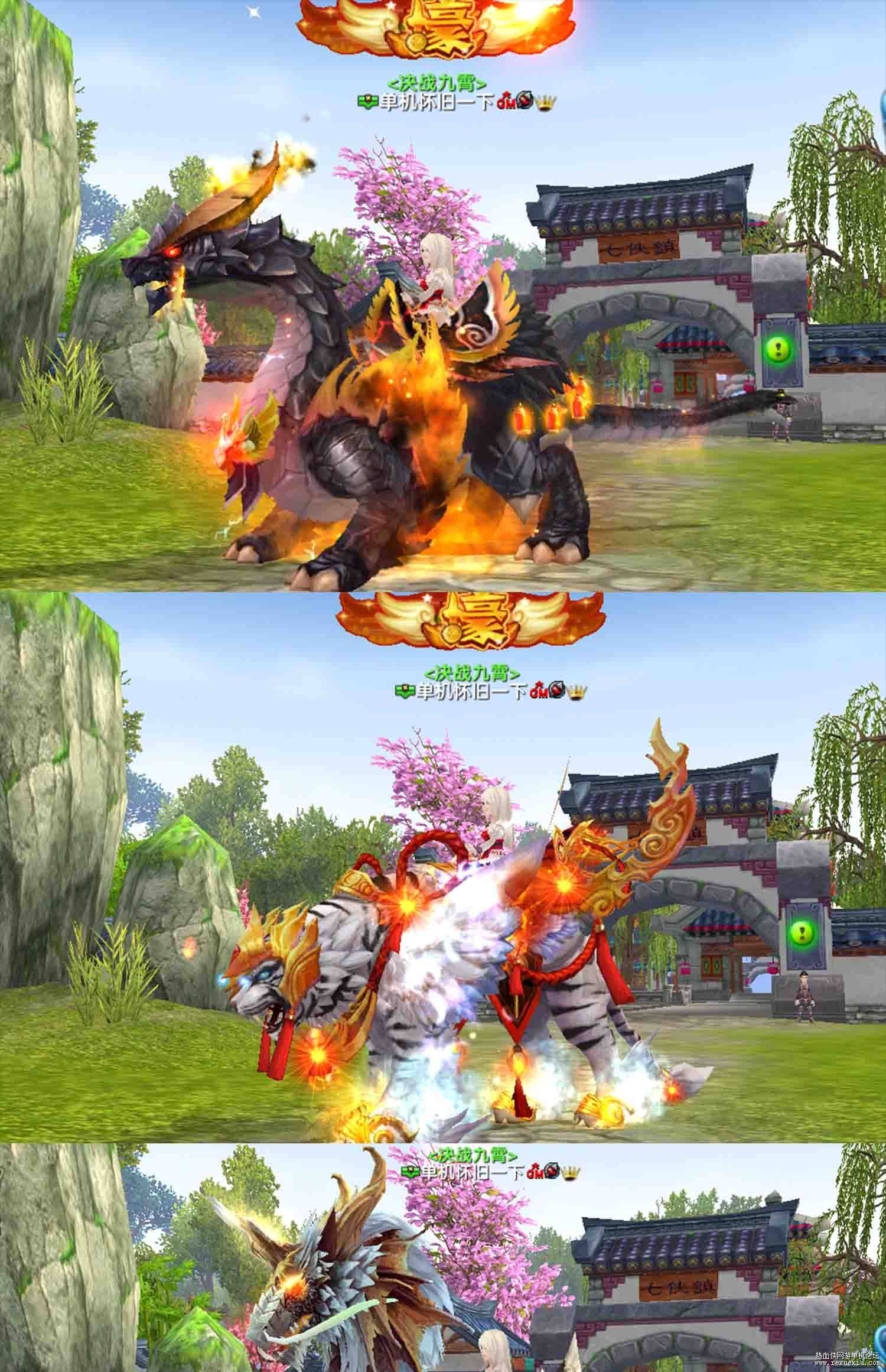 11.jpg