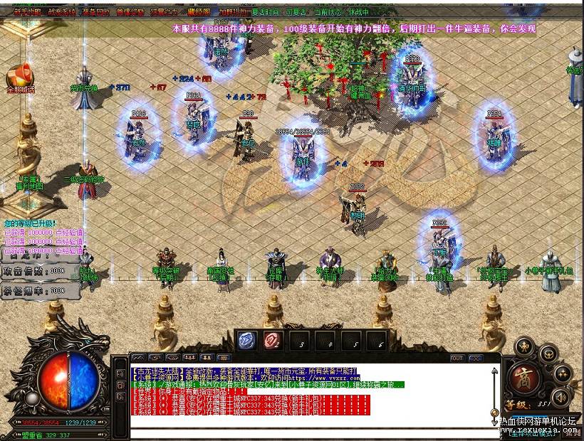 5.jpg
