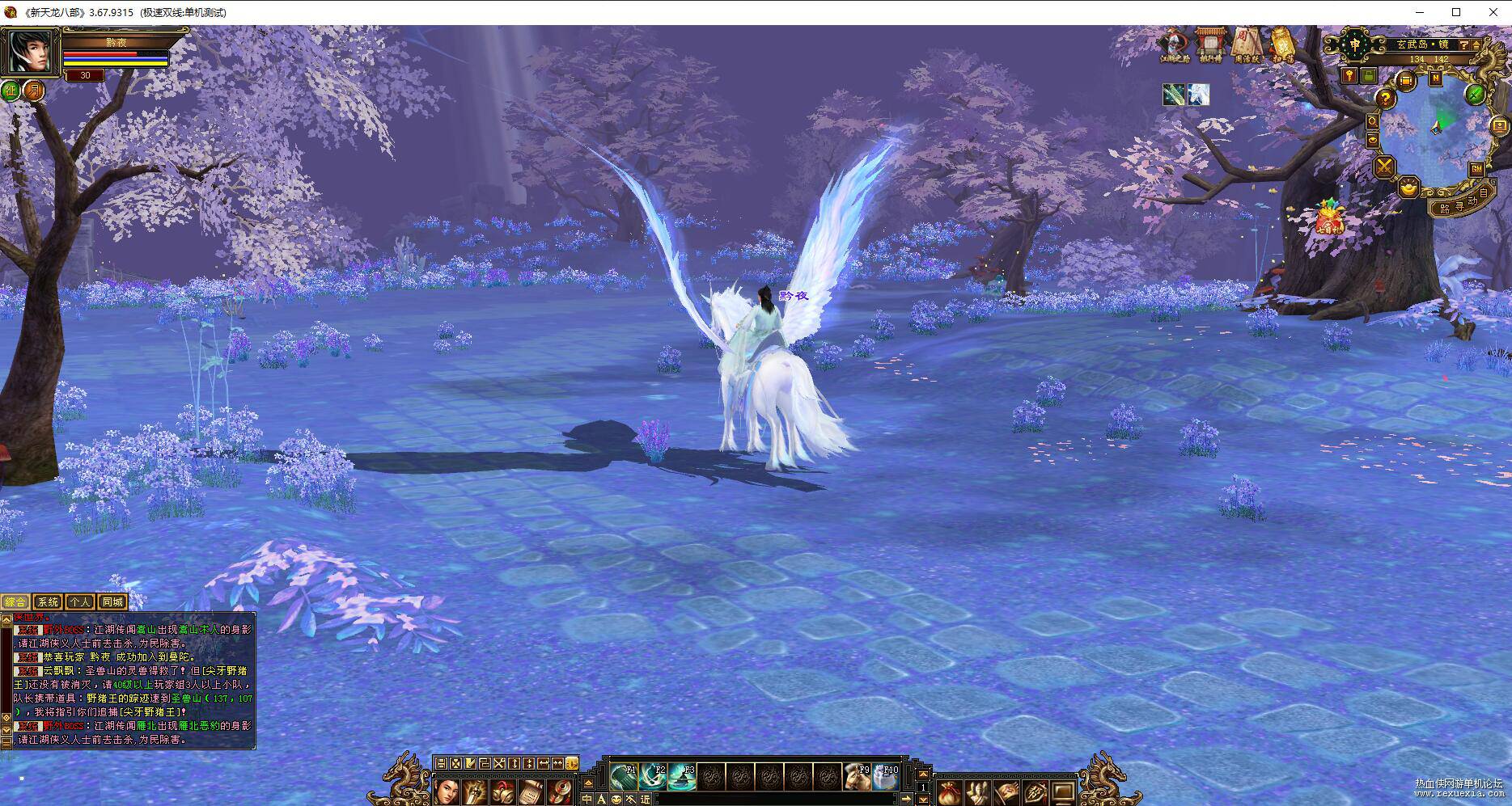 11.jpg