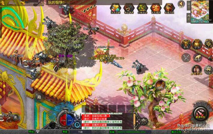 6.jpg