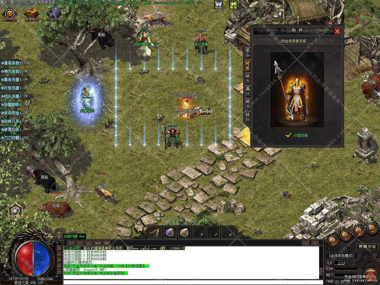 11.jpg
