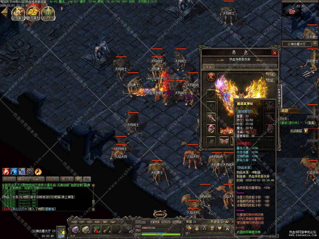 11.jpg